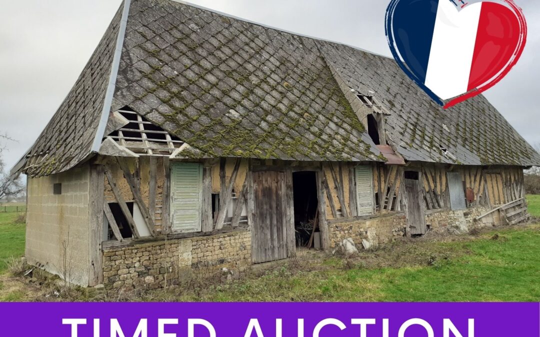 Timed Auction: 200 Year Old French Oak House Frame
